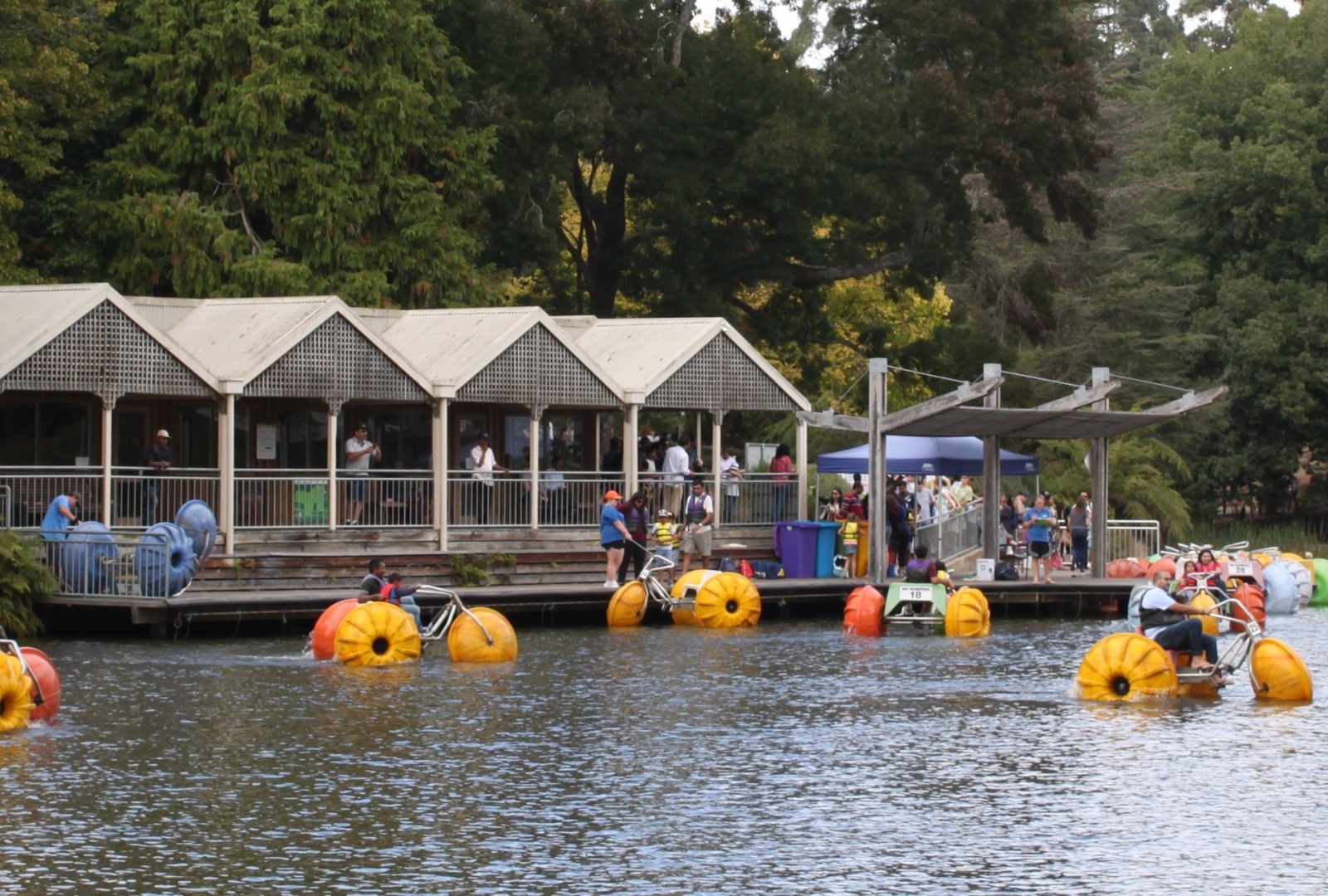 Healesville Sanctuary and Puffing Billy Scenic Bus Tour Wine Hop And