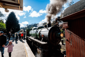 LR ZIG ZAG All aboard